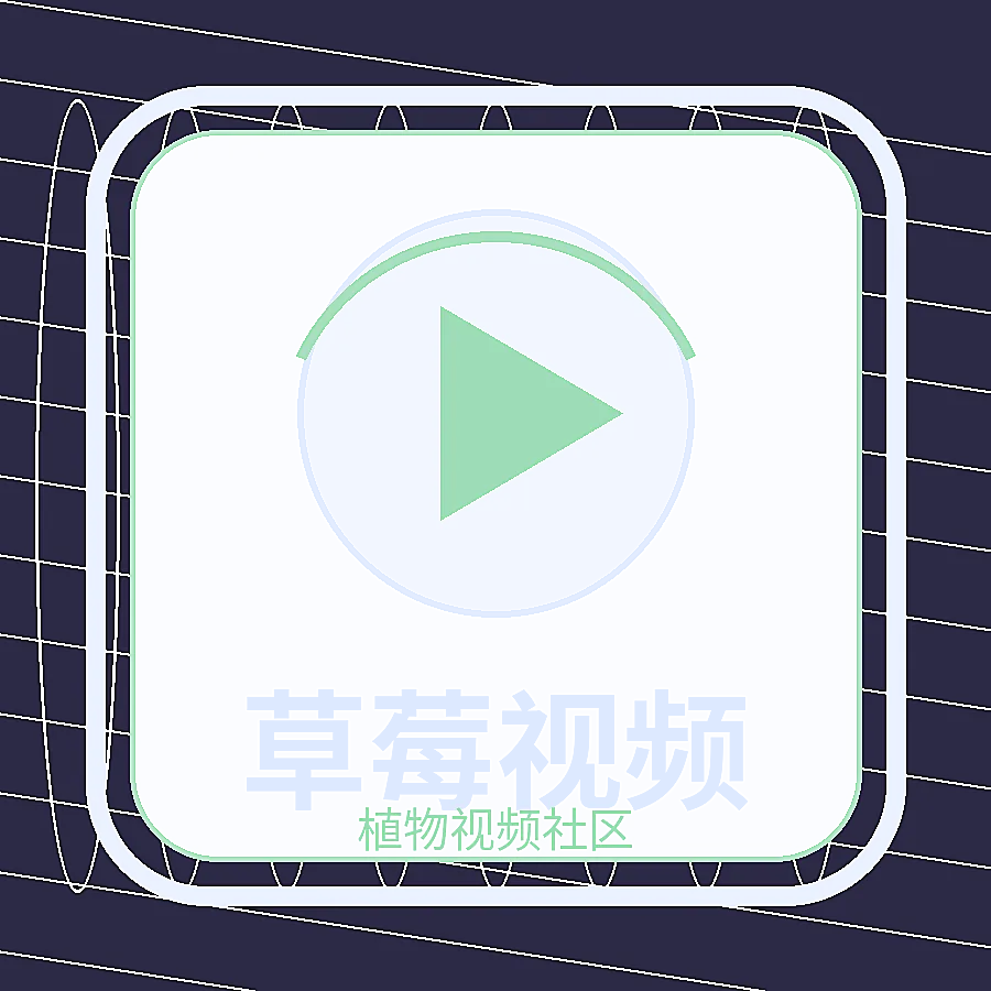 草莓视频